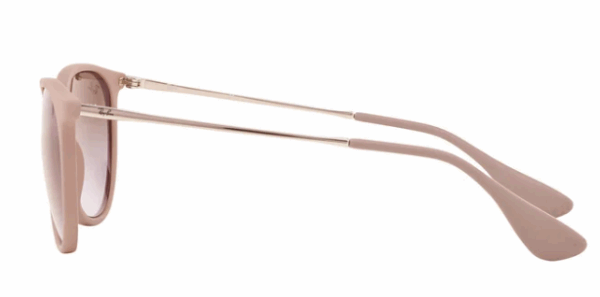 RB 4171 ERIKA 6000 - Imagen 2